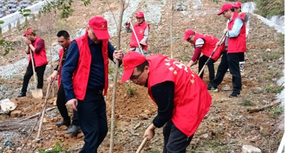 村企共建，共植先锋林